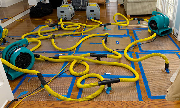 Professional Water Extraction technician working in Culpeper, VA